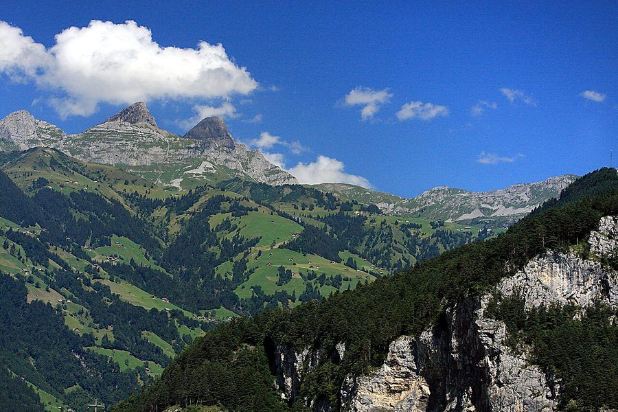 Berggasthaus Brüsti