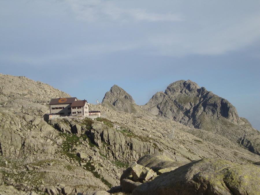 Cima d'Asta "Ottone Brentari"